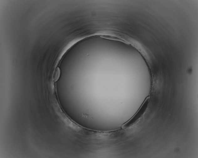 X0000096640908200802050955