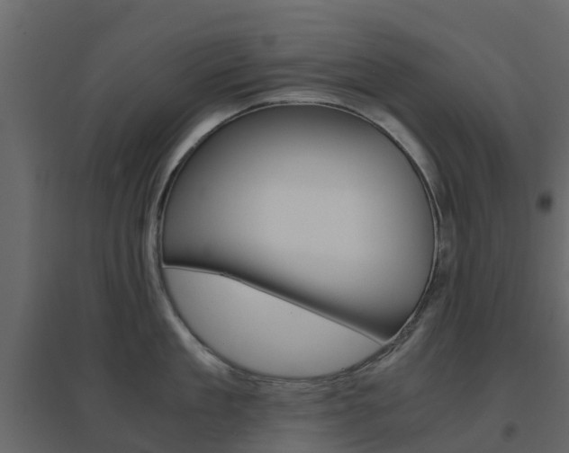 X0000096640909200802050955