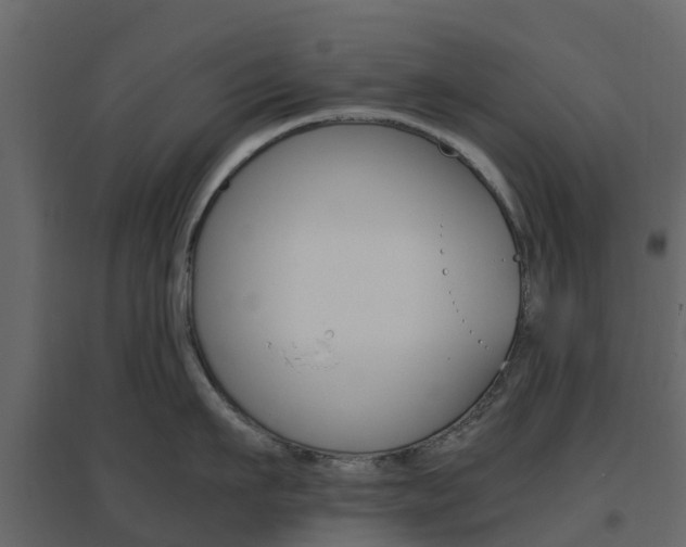 X0000096640911200802050955