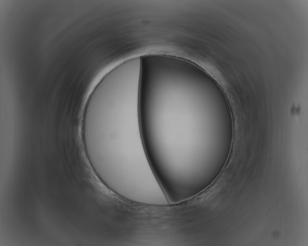 X0000096640912200802050955