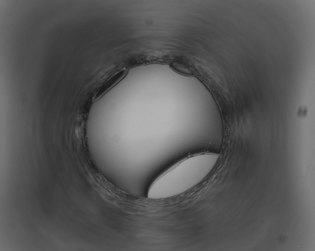 X0000096640914200802050954