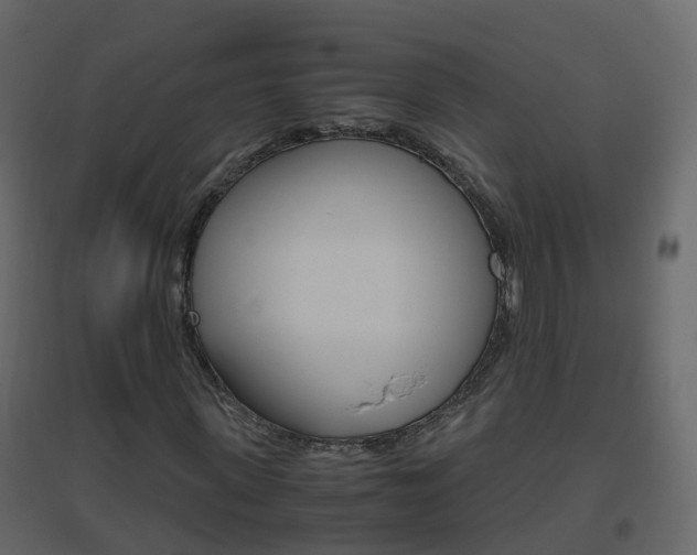 X0000096640915200802050954