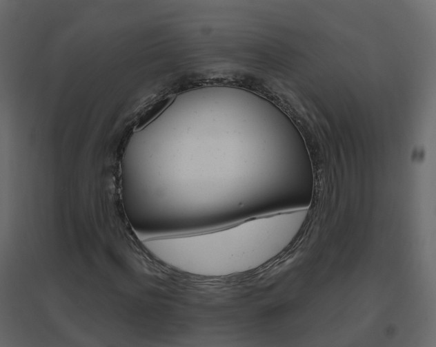 X0000096640916200802050954