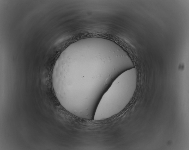 X0000096640917200802050954