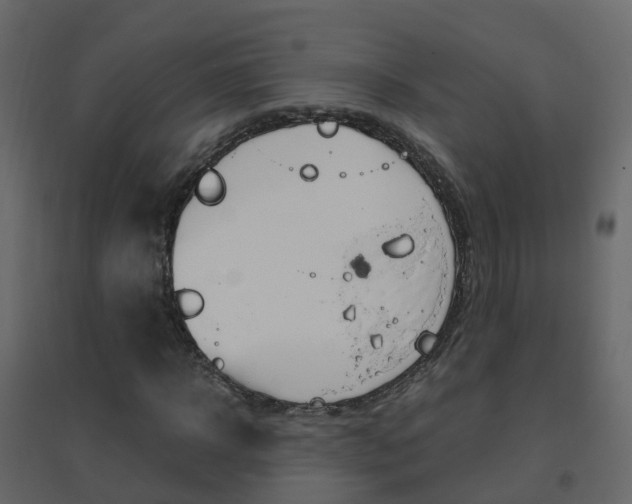 X0000096640918200802050954