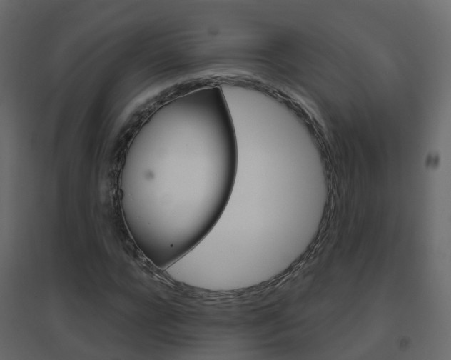 X0000096640920200802050954