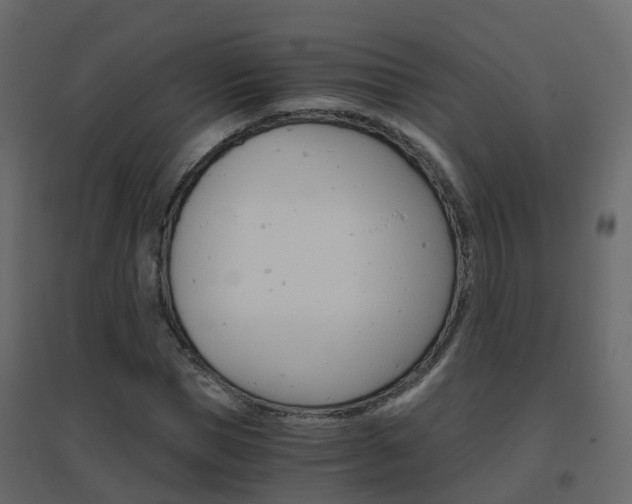 X0000096640921200802050954
