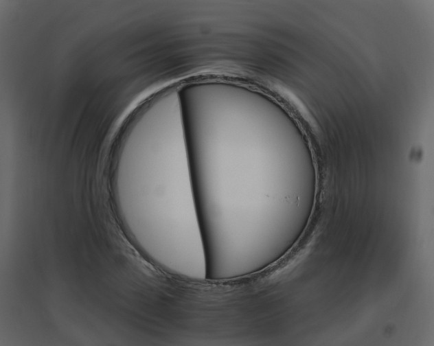 X0000096640923200802050954