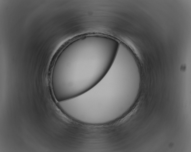 X0000096640924200802050954
