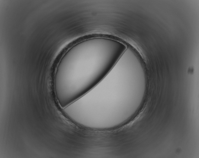 X0000096640926200802050954