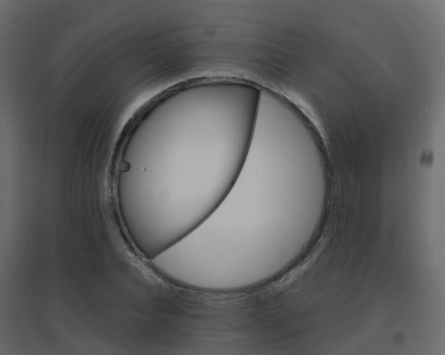 X0000096640928200802050954