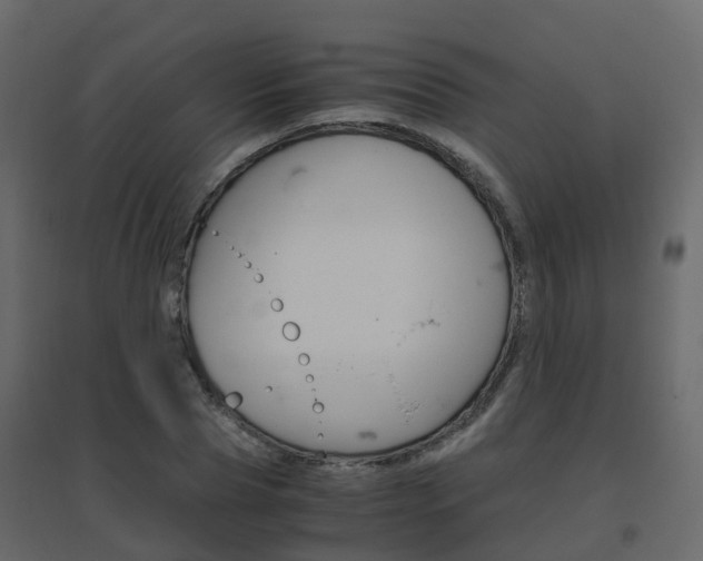X0000096640929200802050954