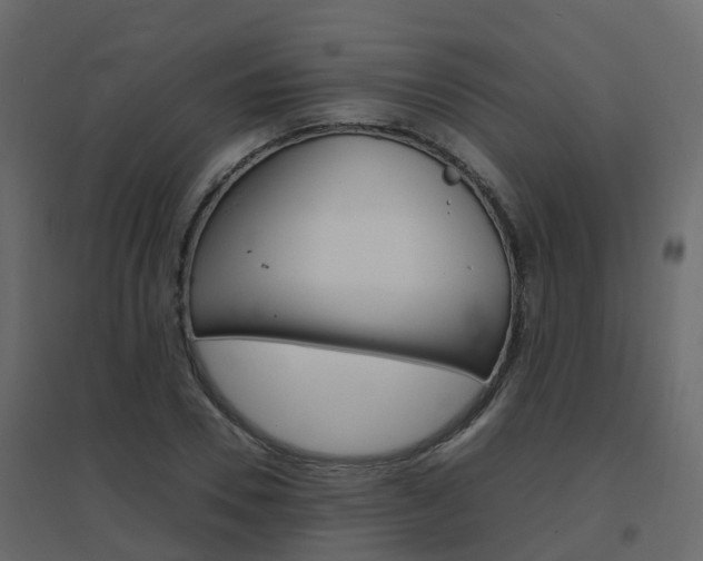X0000096640930200802050954