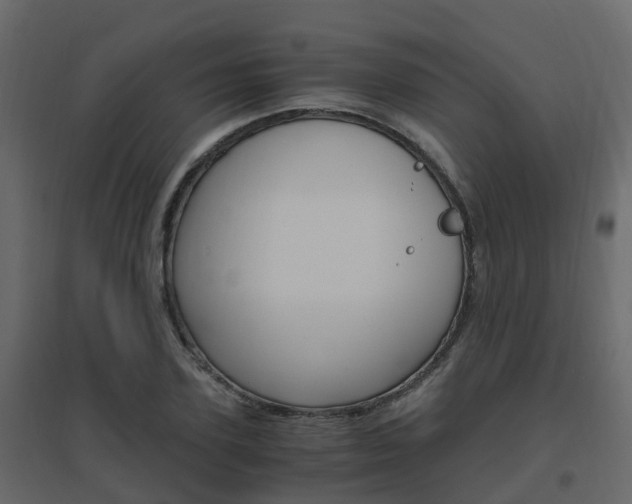 X0000096640931200802050954