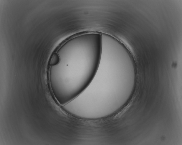 X0000096640932200802050954