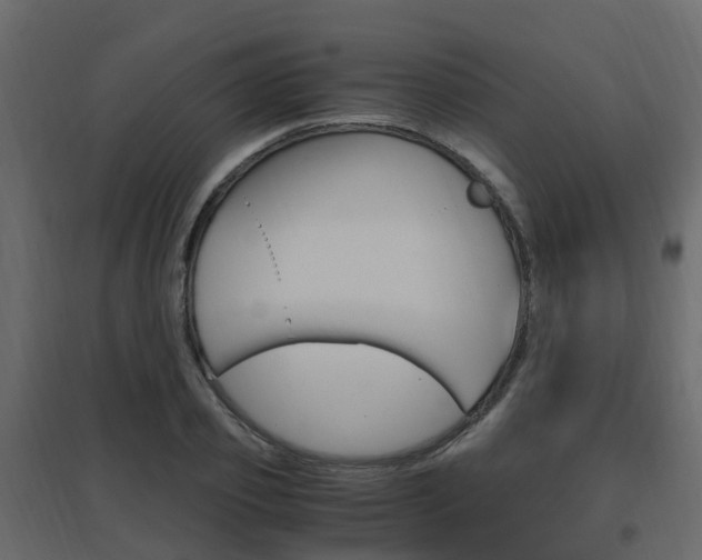 X0000096640933200802050954
