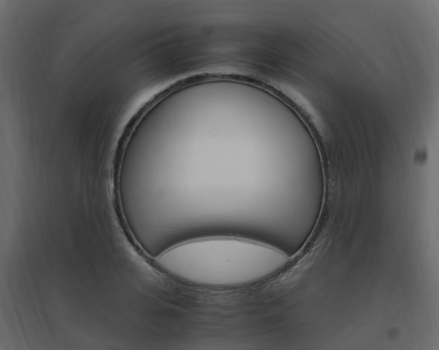 X0000096640935200802050954