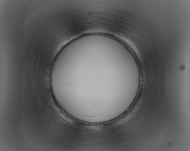 X0000096640937200802050954