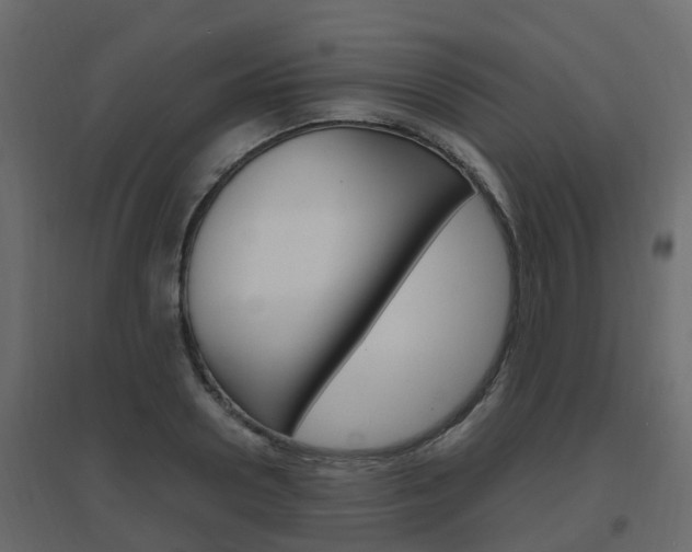 X0000096640938200802050954