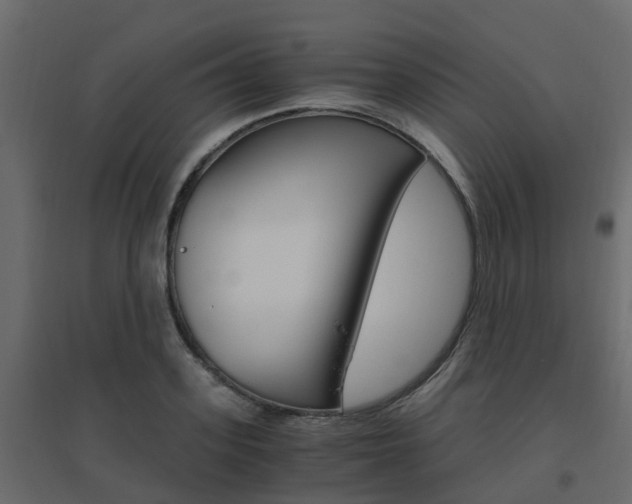 X0000096640939200802050954