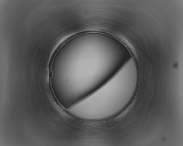 X0000096640940200802050954
