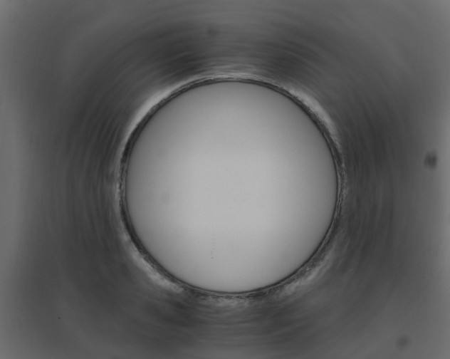 X0000096640941200802050954