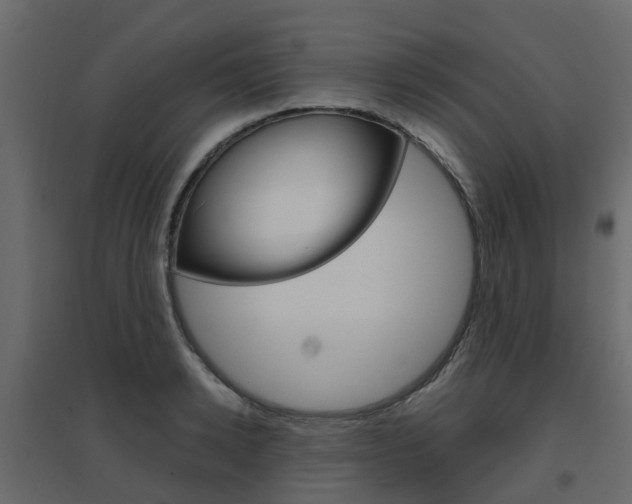 X0000096640942200802050954