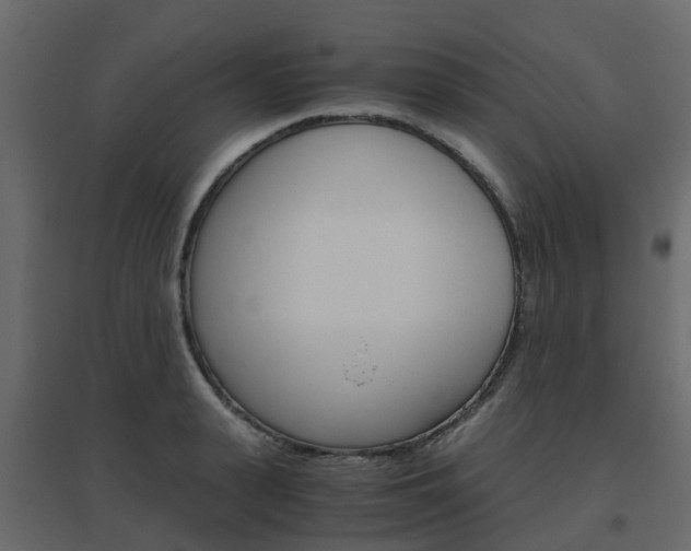 X0000096640943200802050954