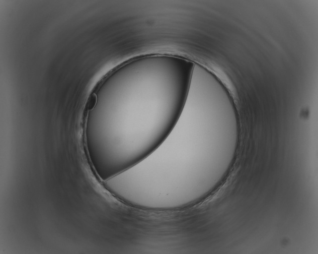 X0000096640944200802050954