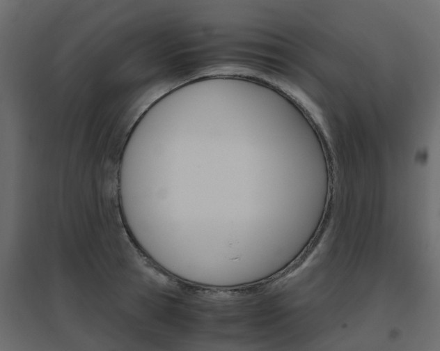 X0000096640945200802050954