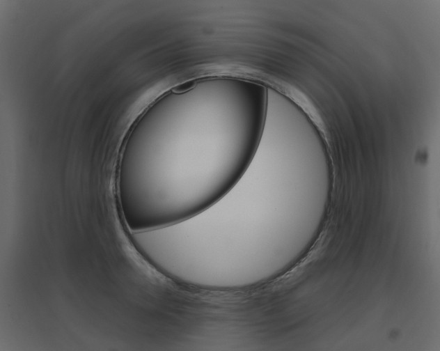 X0000096640946200802050954