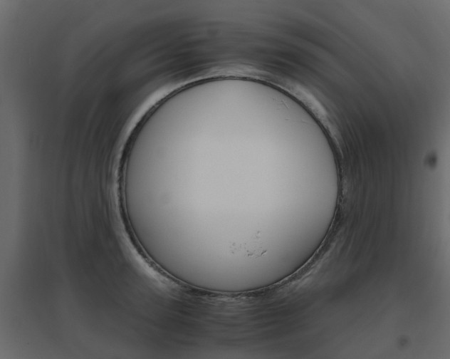 X0000096640947200802050954
