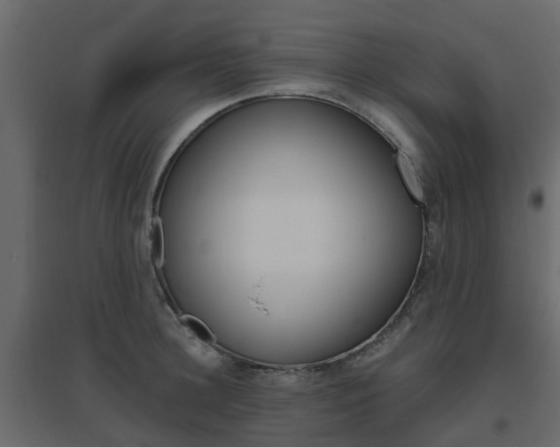 X0000096640948200802050954