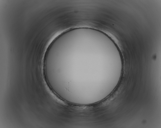 X0000096640949200802050954