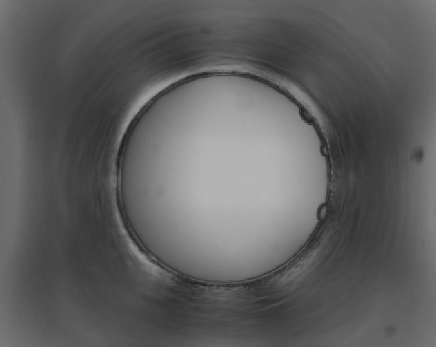 X0000096640951200802050954