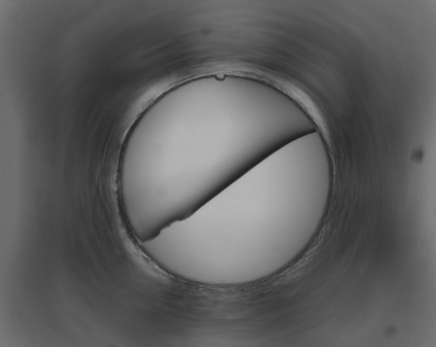 X0000096640954200802050954