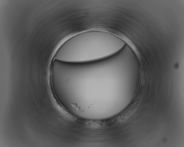 X0000096640955200802050954