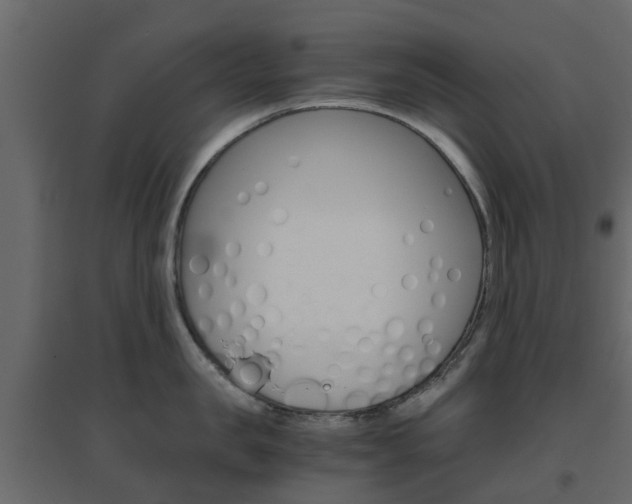 X0000096640957200802050954