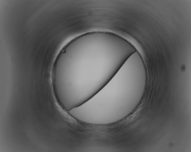 X0000096640958200802050954