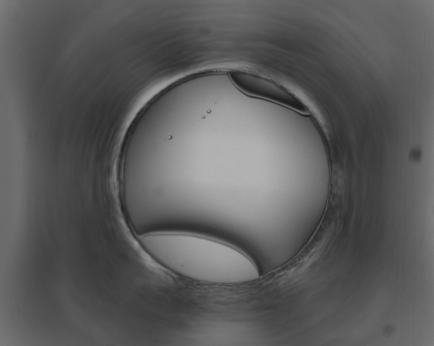 X0000096640959200802050954