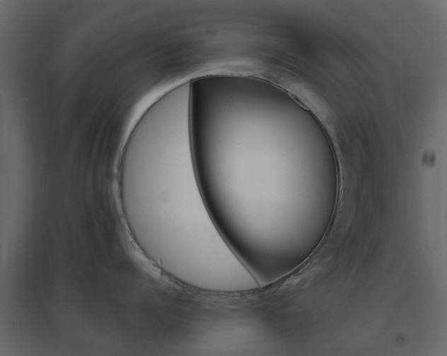 X0000096640960200802050954