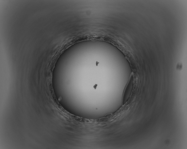 X0000096640961200802050954
