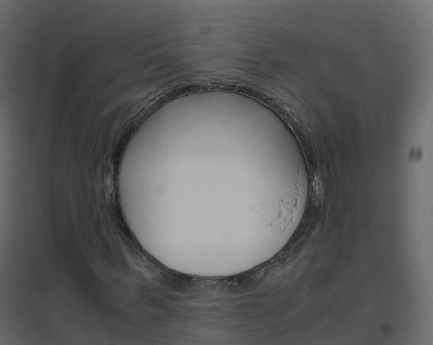 X0000096640963200802050954