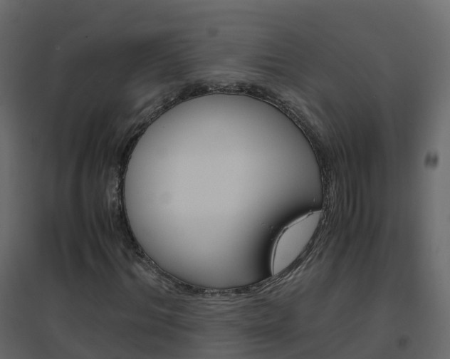 X0000096640964200802050954