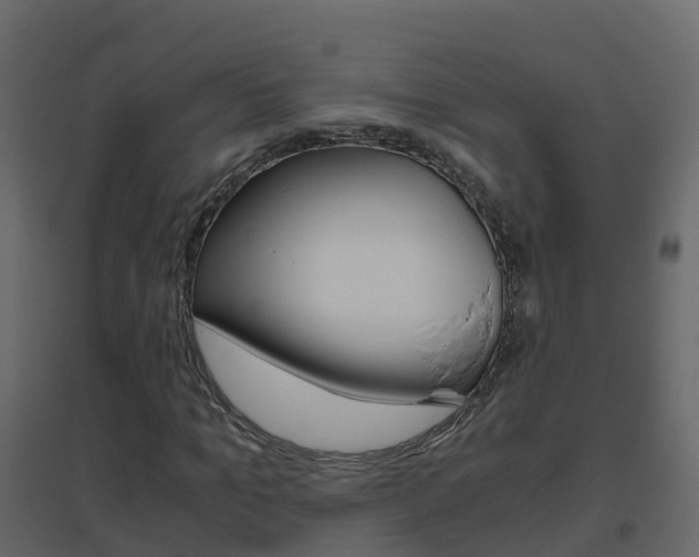 X0000096640965200802050954