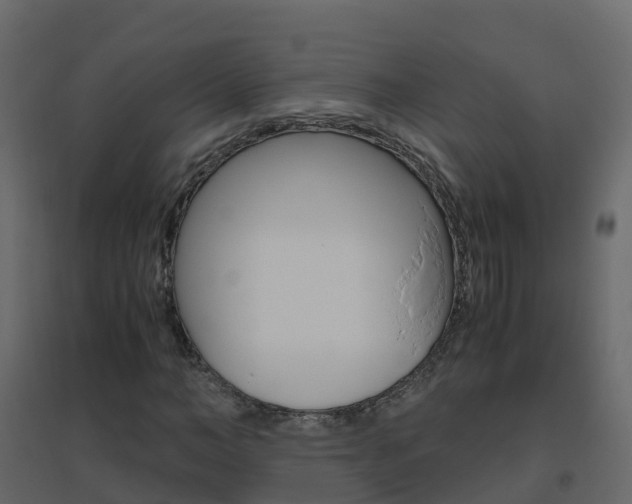 X0000096640966200802050954
