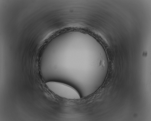 X0000096640968200802050954