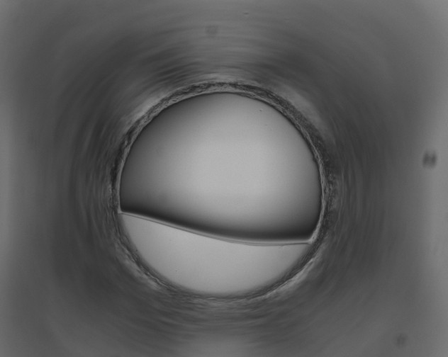 X0000096640969200802050954