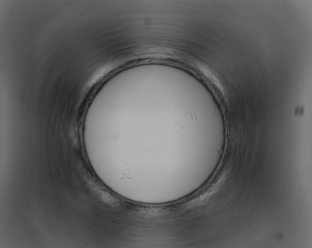 X0000096640970200802050954