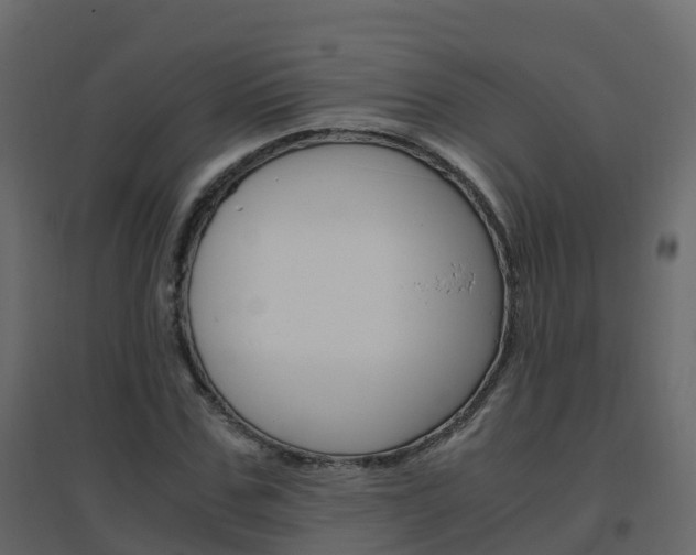 X0000096640971200802050954